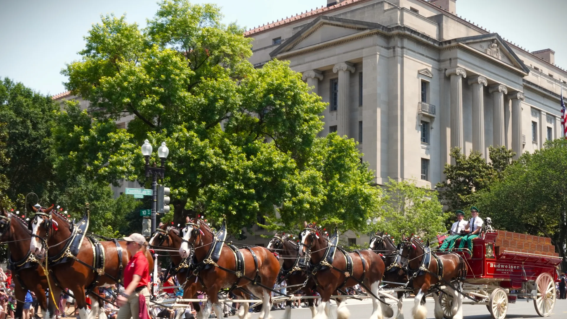 A team of Clydesdale horses pulls a Budweiser wagon during a parade.
