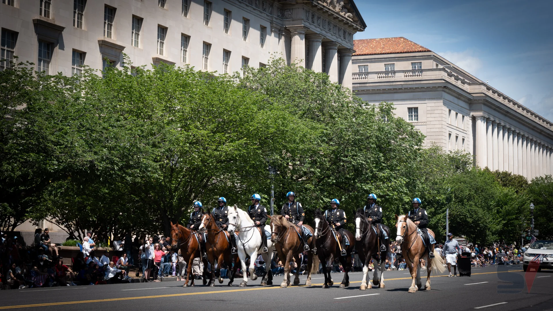 Mounted police officers on horseback participating in a parade.